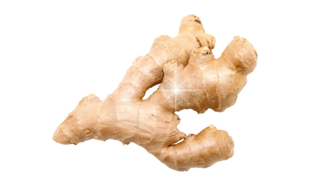Životabudič zvaný zázvor